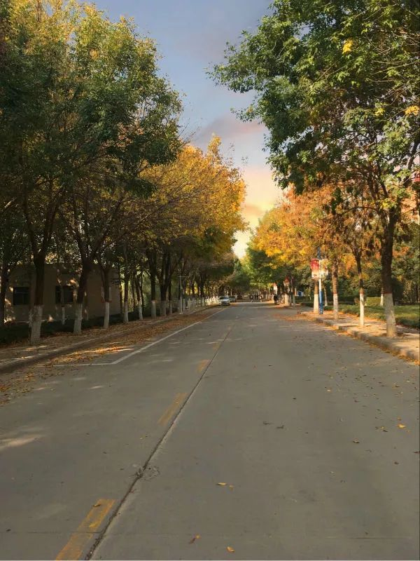 168061504736507.png